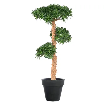 PODOCARPUS artificiel NUAGE  110 et 150 cm en pot