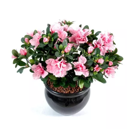 AZALEE artificielle 30 cm rose en pot