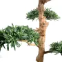 PODOCARPUS artificiel nuage LARGE 150 et 180 cm - tronc