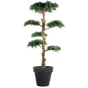 PODOCARPUS artificiel nuage LARGE 150 et 180 cm en pot