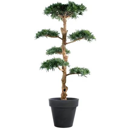 PODOCARPUS artificiel nuage LARGE 150 et 180 cm en pot