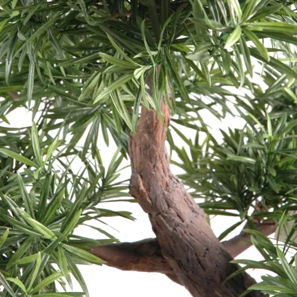 BONSAI artificiel PODOCARPUS en coupe 80 cm - tronc