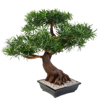 BONSAI artificiel PODOCARPUS en coupe 80 cm de profil
