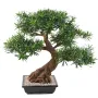 BONSAI artificiel PODOCARPUS en coupe 80 cm