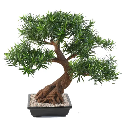 BONSAI artificiel PODOCARPUS en coupe 80 cm