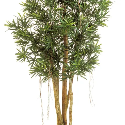 PODOCARPUS artificiel REFLEXA 150 à 210 cm - tronc