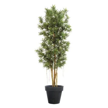 PODOCARPUS artificiel REFLEXA 150 à 210 cm - en pot