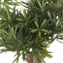PODOCARPUS artificiel MOUNTAIN tree 110 cm - feuilles