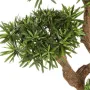 PODOCARPUS artificiel on crazy trunc 135 et 160 cm - feuillage