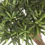 PODOCARPUS artificiel on crazy trunc 135 et 160 cm - feuilles