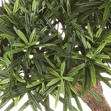 PODOCARPUS artificiel on crazy trunc 135 et 160 cm - feuilles