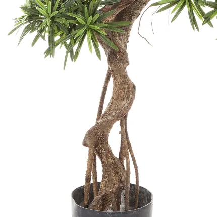 PODOCARPUS artificiel on crazy trunc 135 et 160 cm - base