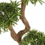 PODOCARPUS artificiel on crazy trunc 135 et 160 cm - tronc