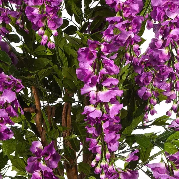 GLYCINE artificielle liane 180 cm violet - fleurs