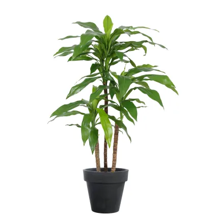DRACENA artificiel (ou DRACAENA) FRAGRANS Janet Craig  95 cm en pot