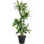 DRACENA artificiel (ou DRACAENA) FRAGRANS Janet Craig  145 cm