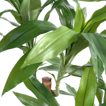 DRACENA artificiel (ou DRACAENA) FRAGRANS Janet Craig  95 et 145 cm - détails feuilles