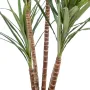 DRACENA artificiel (ou DRACAENA) MARGINATA 110 et 160 cm en pot - troncs