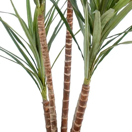 DRACENA artificiel (ou DRACAENA) MARGINATA 110 et 160 cm en pot - troncs