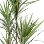 DRACENA artificiel (ou DRACAENA) MARGINATA 110 et 160 cm en pot - feuilles