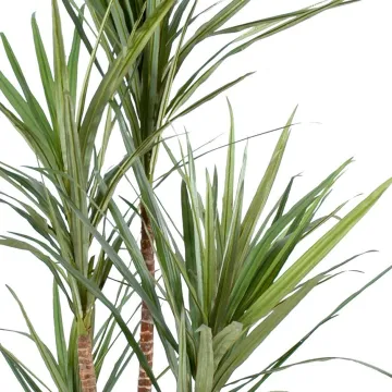 DRACENA artificiel (ou DRACAENA) MARGINATA 110 et 160 cm en pot - feuilles