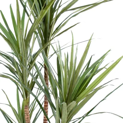 DRACENA artificiel (ou DRACAENA) MARGINATA 110 et 160 cm en pot - feuilles