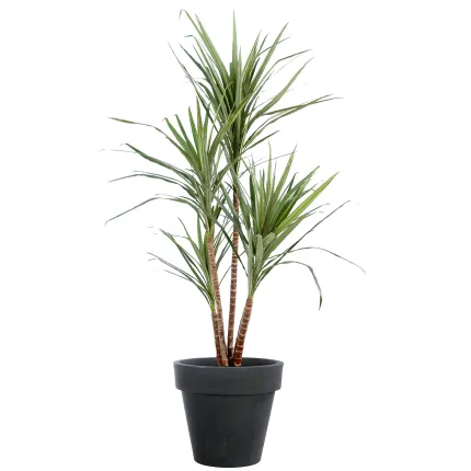 DRACENA artificiel (ou DRACAENA) MARGINATA 110 et 160 cm en pot