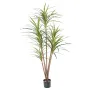 DRACENA artificiel (ou DRACAENA) MARGINATA 160 cm
