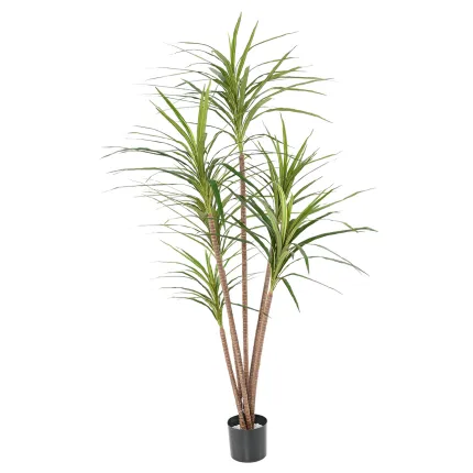 DRACENA artificiel (ou DRACAENA) MARGINATA 160 cm