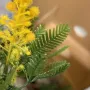 Branche MIMOSA artificielle 80 cm détails feuilles