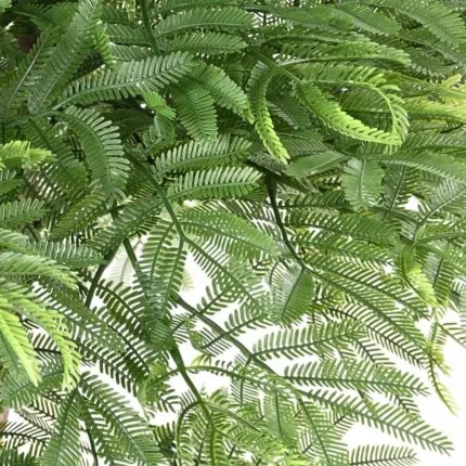 MIMOSA artificiel (Tamarin) tête 110 cm uv en pot - détails feuilles