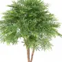MIMOSA artificiel (Tamarin) tête 110 cm uv en pot - tête