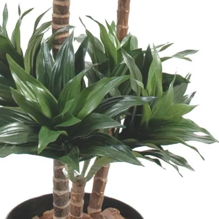 DRACENA artificiel (ou DRACAENA) FRAGRANS 3 troncs Compacta  90 et 120 cm - troncs