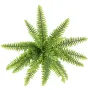 FOUGERE artificielle boston fine diam 65 cm - vue par dessus