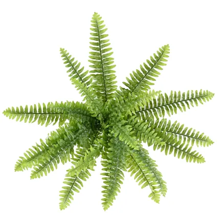FOUGERE artificielle boston fine diam 65 cm - vue par dessus
