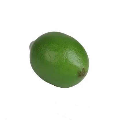 CITRON VERT artificiel 8 cm - de profil