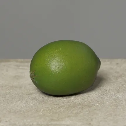 CITRON VERT artificiel 8 cm posé