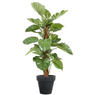 POTHOS artificiel GEANT  vert/crème 150 cm en pot