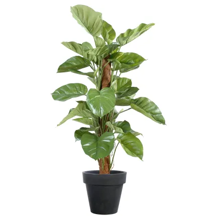 POTHOS artificiel GEANT  vert/crème 150 cm en pot