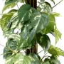 POTHOS artificiel tuteur coco  100cm