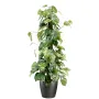 POTHOS artificiel tuteur coco  100 cm en pot