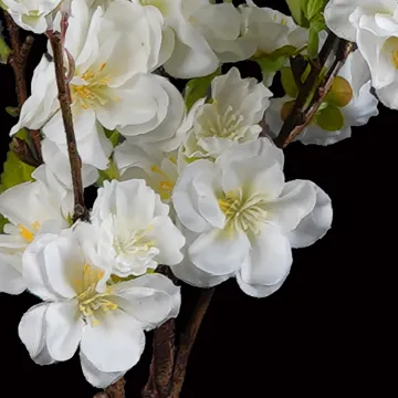 Branche de CERISIER 100 cm blanc - fleurs