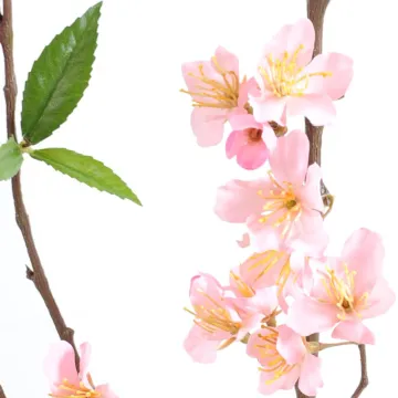 Branche de CERISIER 115 cm