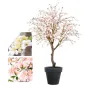 CERISIER FLEUR artificiel 280 cm - 2 couleurs