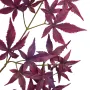 branche artificielle ERABLE 110 cm burgundy - feuille