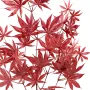 branche artificielle ERABLE 70 cm rouge automne  (Aralia) - feuillage