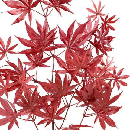 branche artificielle ERABLE 70 cm rouge automne  (Aralia) - feuillage