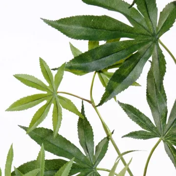 branche artificielle ERABLE 70 cm (aralia) - feuilles détails