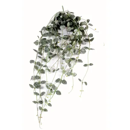 CEROPEGIA artificiel (chaine des coeurs) 60 cm