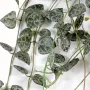 CEROPEGIA artificiel (chaine des cœurs) 60 cm ANTI FEU - feuilles